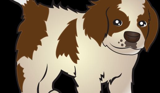 Akıllı Köpek